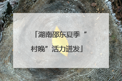 湖南邵东夏季“村晚”活力迸发