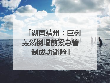 湖南靖州：巨树轰然倒塌前紧急管制成功避险