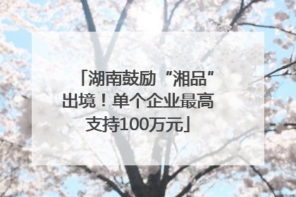 湖南鼓励“湘品”出境！单个企业最高支持100万元