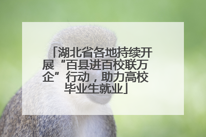 湖北省各地持续开展“百县进百校联万企”行动，助力高校毕业生就业