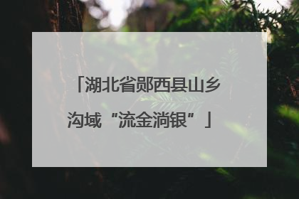 湖北省郧西县山乡沟域“流金淌银”