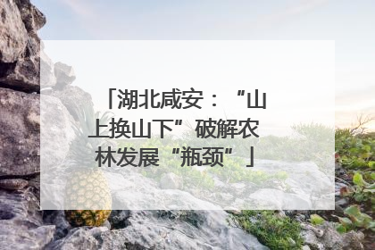 湖北咸安：“山上换山下”破解农林发展“瓶颈”