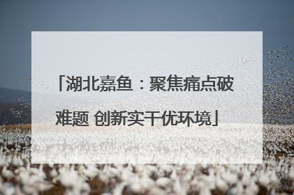湖北嘉鱼：聚焦痛点破难题 创新实干优环境