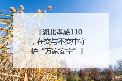 湖北孝感110，在变与不变中守护“万家安宁”