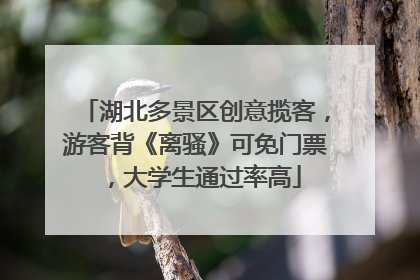 湖北多景区创意揽客，游客背《离骚》可免门票，大学生通过率高