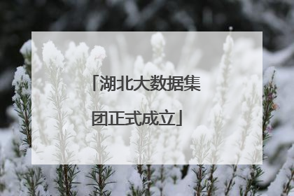 湖北大数据集团正式成立