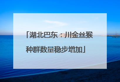 湖北巴东：川金丝猴种群数量稳步增加