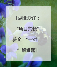 湖北沙洋：“项目警长”驻企 “一对一”解难题