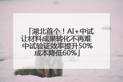湖北首个！AI+中试让材料成果转化不再难 中试验证效率提升50%成本降低60%