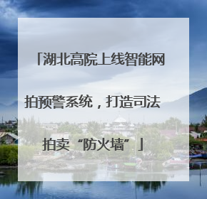 湖北高院上线智能网拍预警系统，打造司法拍卖“防火墙”