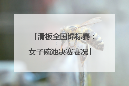 滑板全国锦标赛：女子碗池决赛赛况