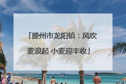 滕州市龙阳镇：风吹麦浪起 小麦迎丰收