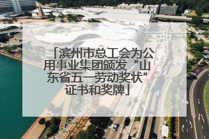 滨州市总工会为公用事业集团颁发“山东省五一劳动奖状”证书和奖牌