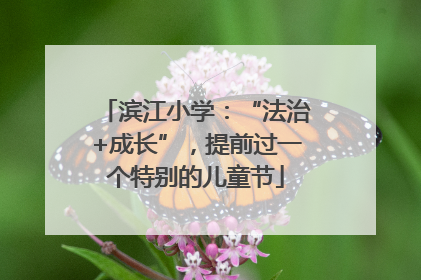 滨江小学：“法治+成长”，提前过一个特别的儿童节