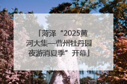菏泽“2025黄河大集—曹州牡丹园夜游消夏季”开幕