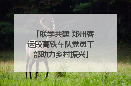 联学共建 郑州客运段高铁车队党员干部助力乡村振兴