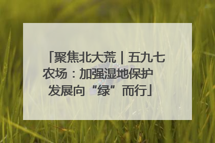 聚焦北大荒｜五九七农场：加强湿地保护 发展向“绿”而行