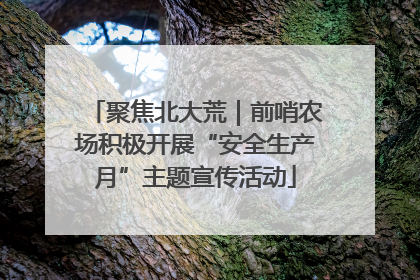 聚焦北大荒｜前哨农场积极开展“安全生产月”主题宣传活动