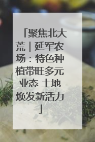 聚焦北大荒｜延军农场：特色种植带旺多元业态 土地焕发新活力