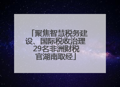 聚焦智慧税务建设、国际税收治理 29名非洲财税官湖南取经
