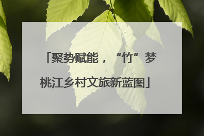聚势赋能，“竹”梦桃江乡村文旅新蓝图