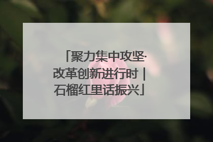 聚力集中攻坚·改革创新进行时｜石榴红里话振兴