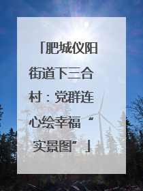 肥城仪阳街道下三合村：党群连心绘幸福“实景图”