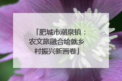 肥城市潮泉镇：农文旅融合绘就乡村振兴新画卷
