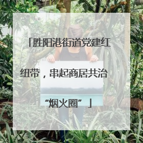 胜阳港街道党建红纽带，串起商居共治 “烟火圈”
