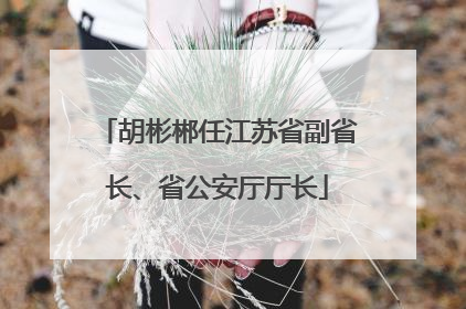 胡彬郴任江苏省副省长、省公安厅厅长