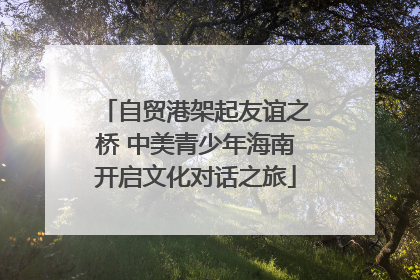 自贸港架起友谊之桥 中美青少年海南开启文化对话之旅