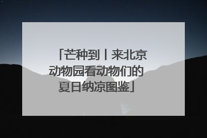 芒种到丨来北京动物园看动物们的夏日纳凉图鉴