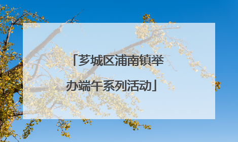 芗城区浦南镇举办端午系列活动
