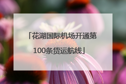 花湖国际机场开通第100条货运航线
