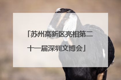苏州高新区亮相第二十一届深圳文博会