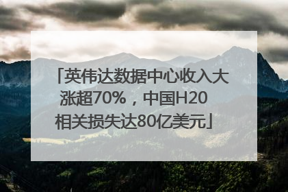 英伟达数据中心收入大涨超70%，中国H20相关损失达80亿美元