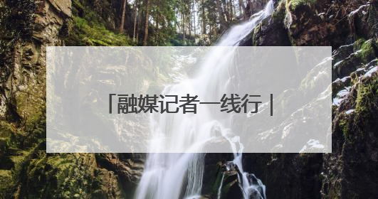 融媒记者一线行｜从本土创新向全球进击——我市生物医药产业破茧突围