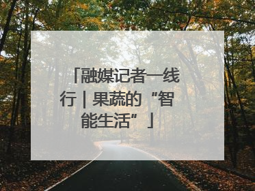 融媒记者一线行｜果蔬的“智能生活”