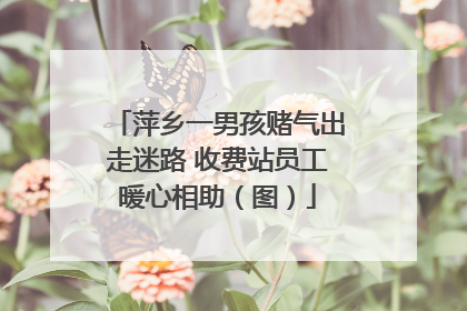 萍乡一男孩赌气出走迷路 收费站员工暖心相助（图）