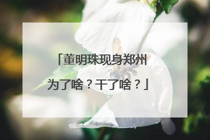 董明珠现身郑州 为了啥？干了啥？