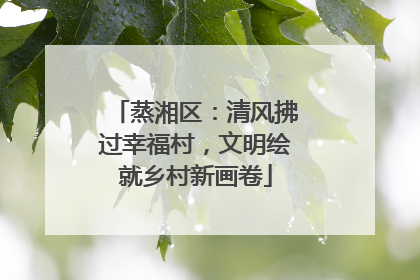 蒸湘区：清风拂过幸福村，文明绘就乡村新画卷