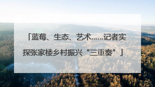蓝莓、生态、艺术……记者实探张家楼乡村振兴“三重奏”