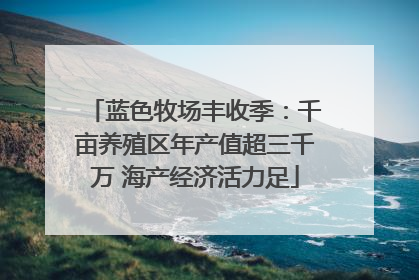 蓝色牧场丰收季：千亩养殖区年产值超三千万 海产经济活力足