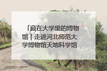 藏在大学里的博物馆｜走进河北师范大学博物馆天地科学馆：在校园里赴一场“宇宙之约”