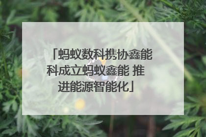 蚂蚁数科携协鑫能科成立蚂蚁鑫能 推进能源智能化