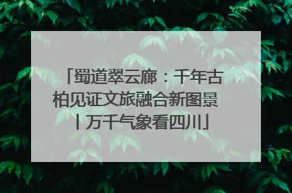 蜀道翠云廊：千年古柏见证文旅融合新图景丨万千气象看四川