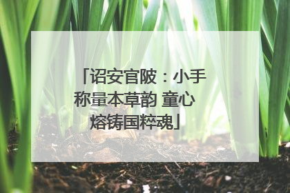 诏安官陂：小手称量本草韵 童心熔铸国粹魂