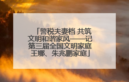 警税夫妻档 共筑文明和谐家风——记第三届全国文明家庭王娜、朱兆鹏家庭