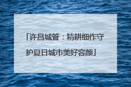 许昌城管：精耕细作守护夏日城市美好容颜