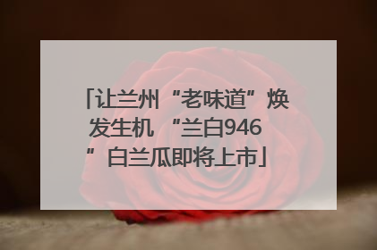 让兰州“老味道”焕发生机 “兰白946”白兰瓜即将上市